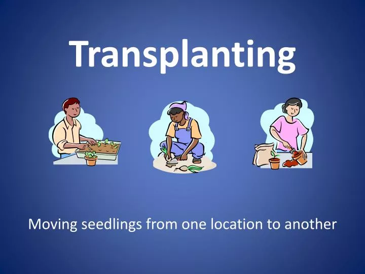transplanting