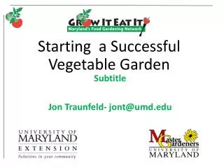 Starting a Successful Vegetable Garden