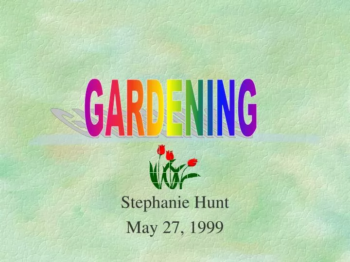 stephanie hunt may 27 1999