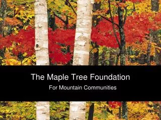 The Maple Tree Foundation
