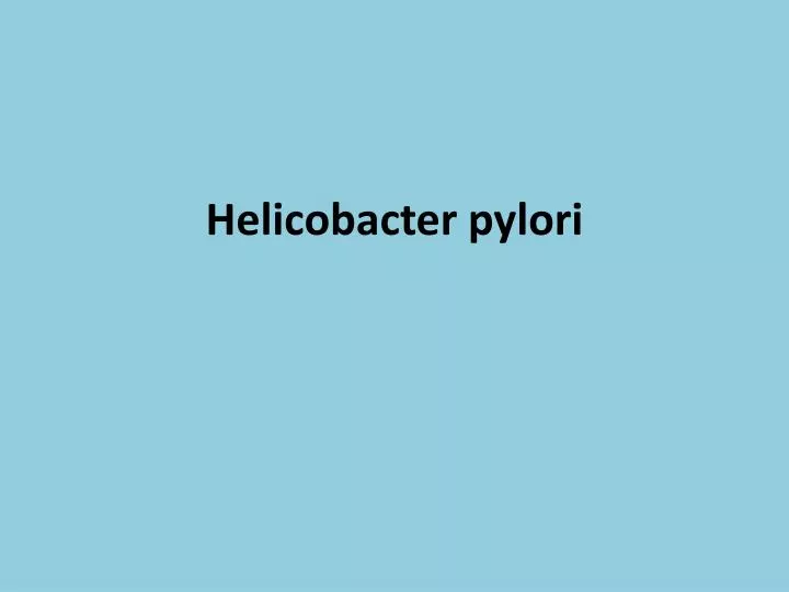 helicobacter pylori