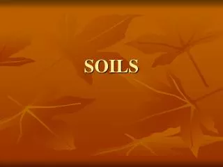 SOILS