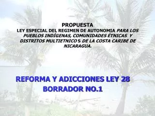 REFORMA Y ADICCIONES LEY 28 BORRADOR NO.1