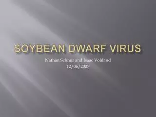 Soybean dwarf virus