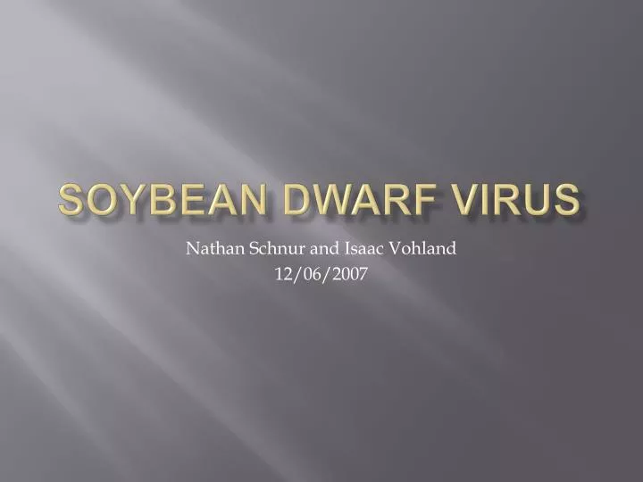 soybean dwarf virus