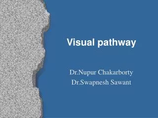 Visual pathway