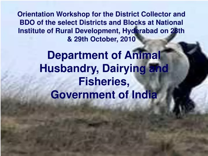 department of animal husbandry dairying and fisheries government of india