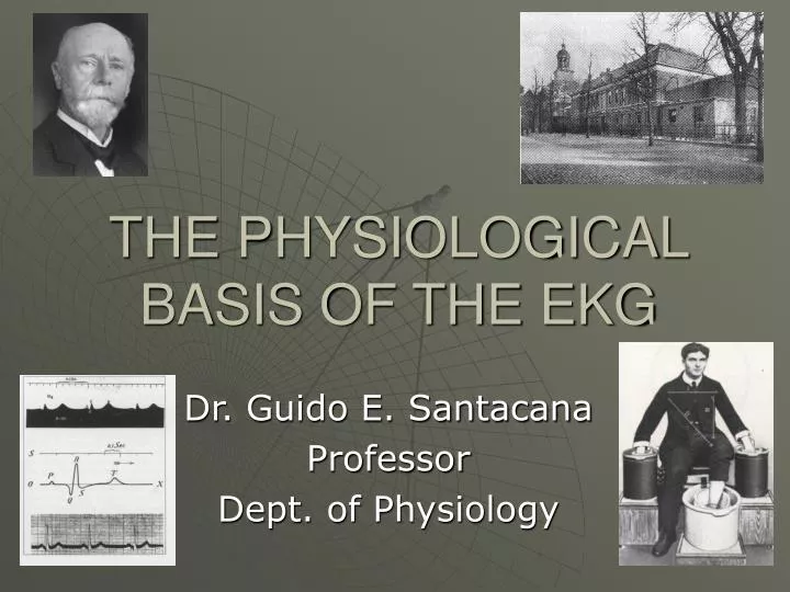 the physiological basis of the ekg