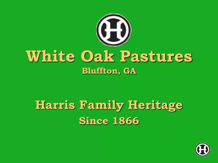 white oak pastures bluffton ga