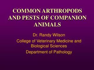 COMMON ARTHROPODS AND PESTS OF COMPANION ANIMALS