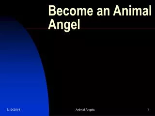 Become an Animal Angel