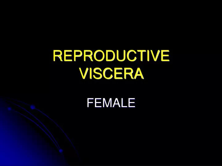 reproductive viscera