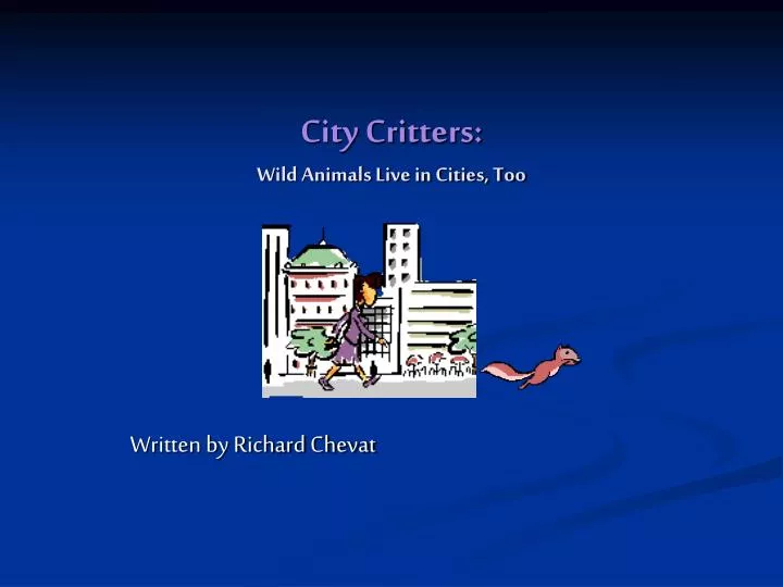 city critters wild animals live in cities too