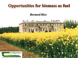 Opportunities for biomass as fuel