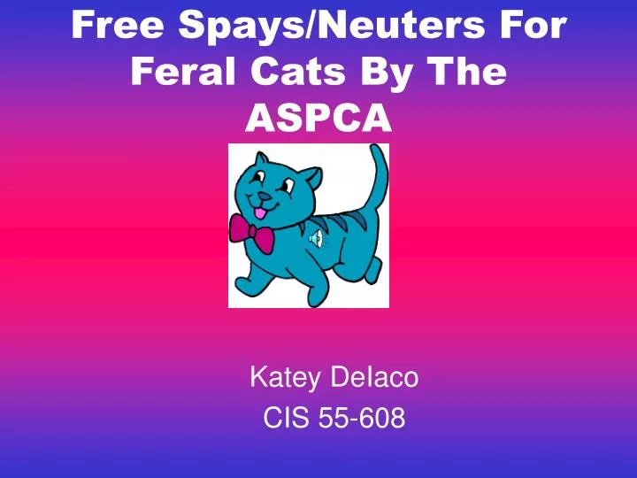 free spays neuters for feral cats by the aspca