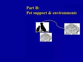 Part B: Pet support &amp; environments