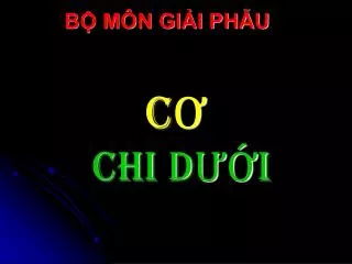c chi d i