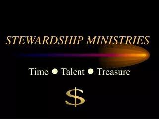 STEWARDSHIP MINISTRIES