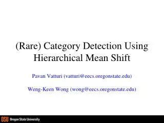 (Rare) Category Detection Using Hierarchical Mean Shift