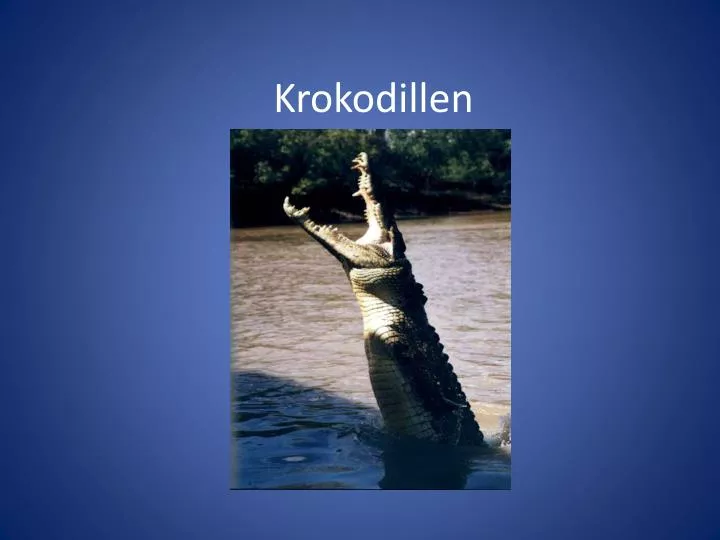 krokodillen