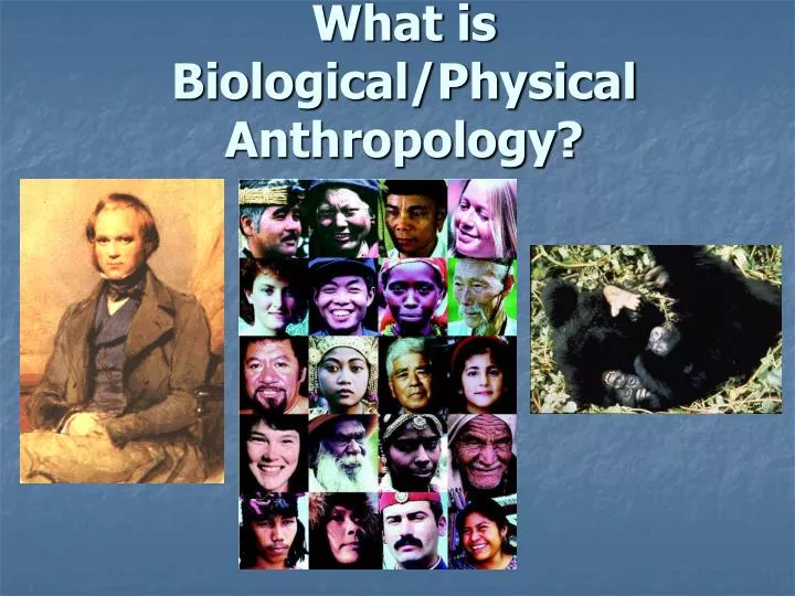 what is biological physical anthropology