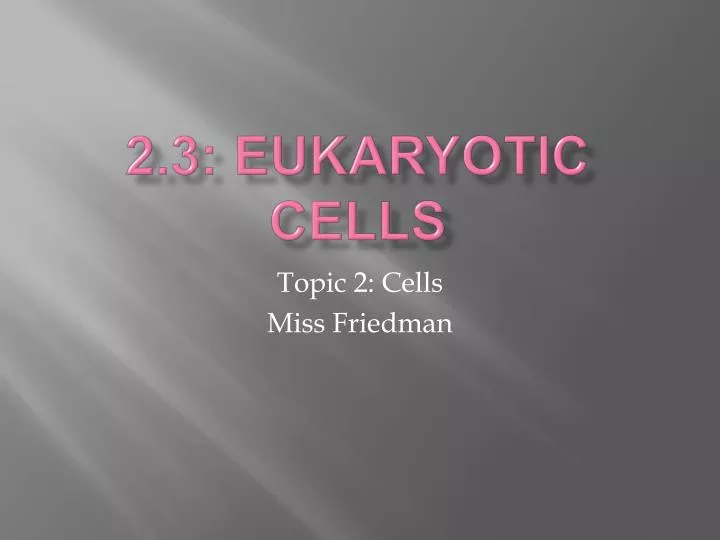 2 3 eukaryotic cells