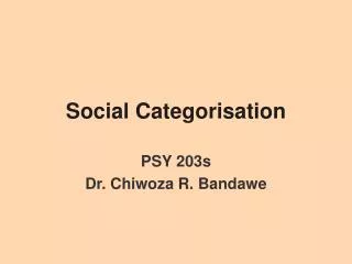Social Categorisation