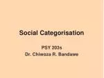 Social Categorisation - slide 1