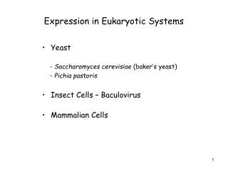 Expression in Eukaryotic Systems