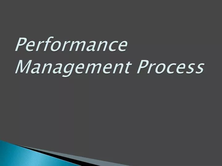 performance management process