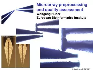 Microarray preprocessing and quality assessment Wolfgang Huber European Bioinformatics Institute
