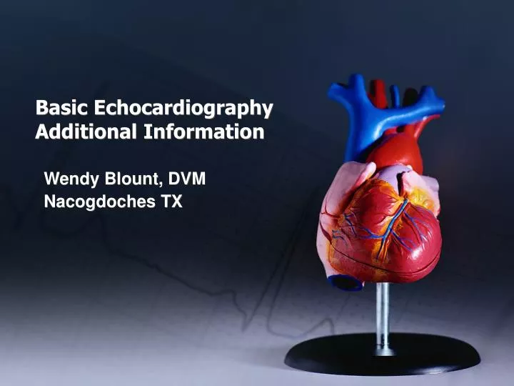 basic echocardiography additional information