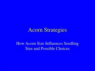 Acorn Strategies