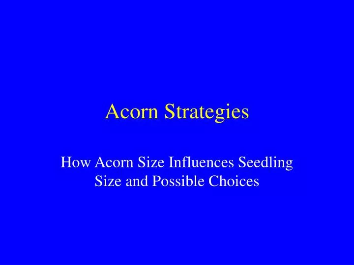 acorn strategies