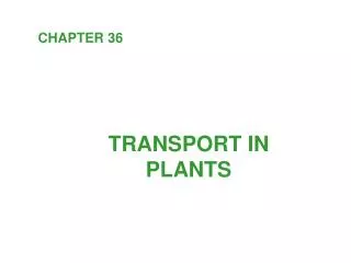 TRANSPORT IN PLANTS