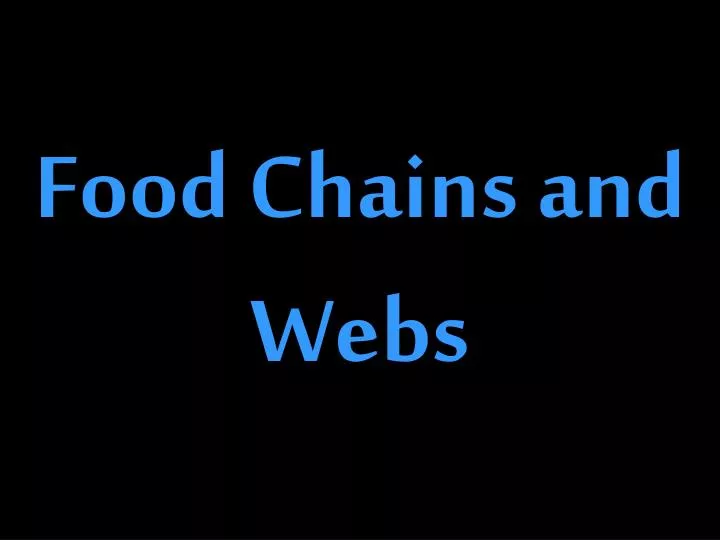 food chains and webs