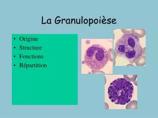 La Granulopoièse