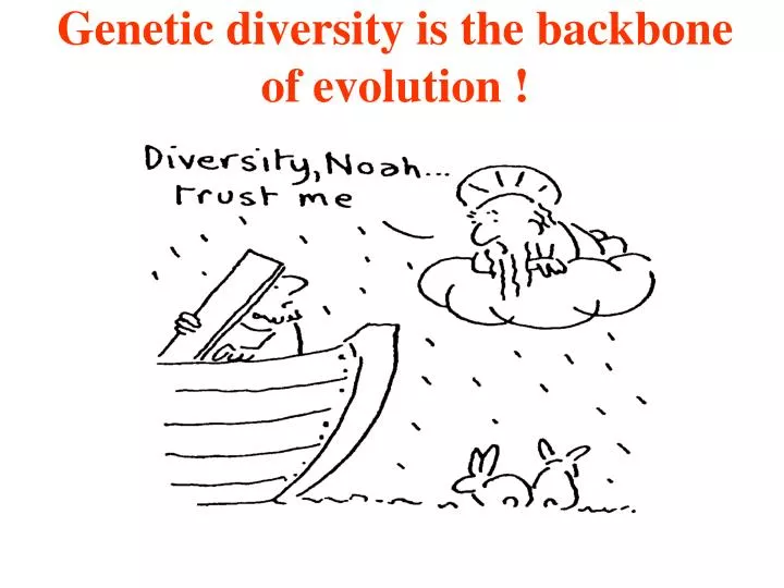 genetic diversity is the backbone of evolution