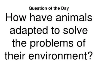 Question of the Day How have animals adapted to solve the problems of their environment?