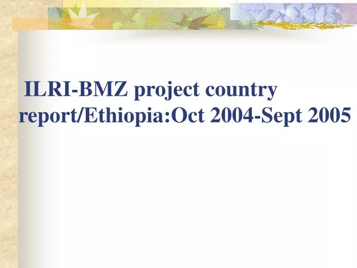 ilri bmz project country report ethiopia oct 2004 sept 2005
