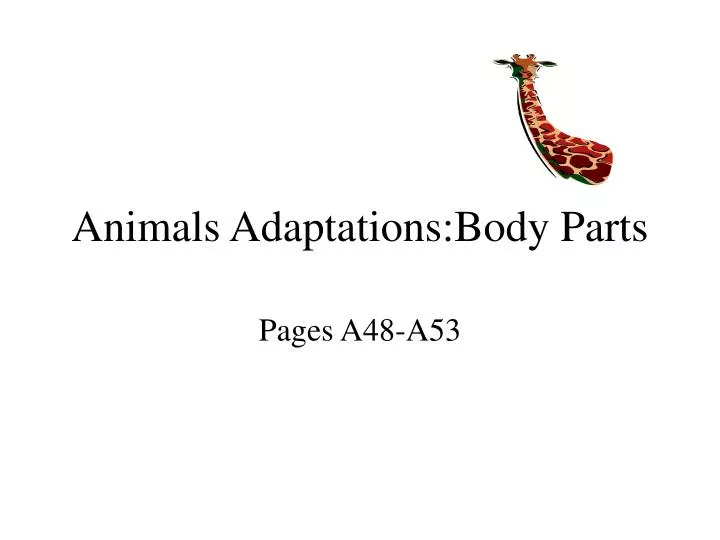 animals adaptations body parts