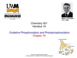 Chemistry 501 Handout 19 Oxidative Phosphorylation and Photophosphorylation Chapter 19