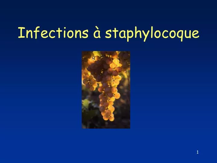 infections staphylocoque