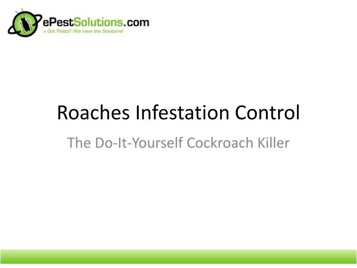 roaches infestation control