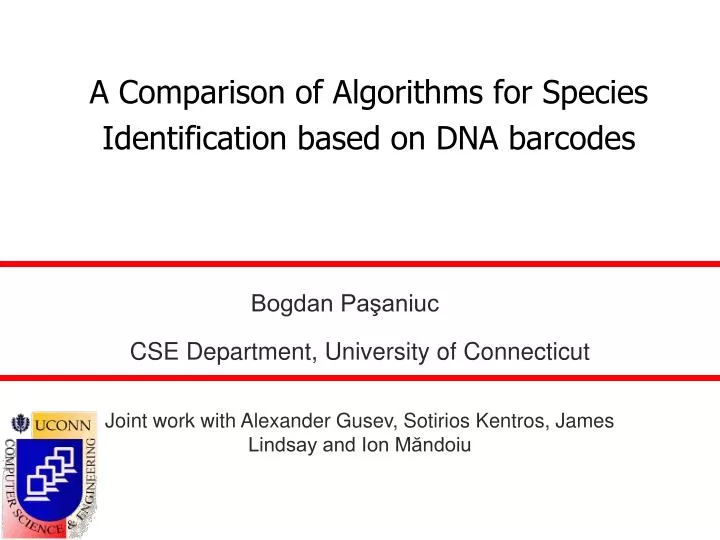a comparison of algorithms for species identification based on dna barcodes