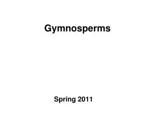 Gymnosperms