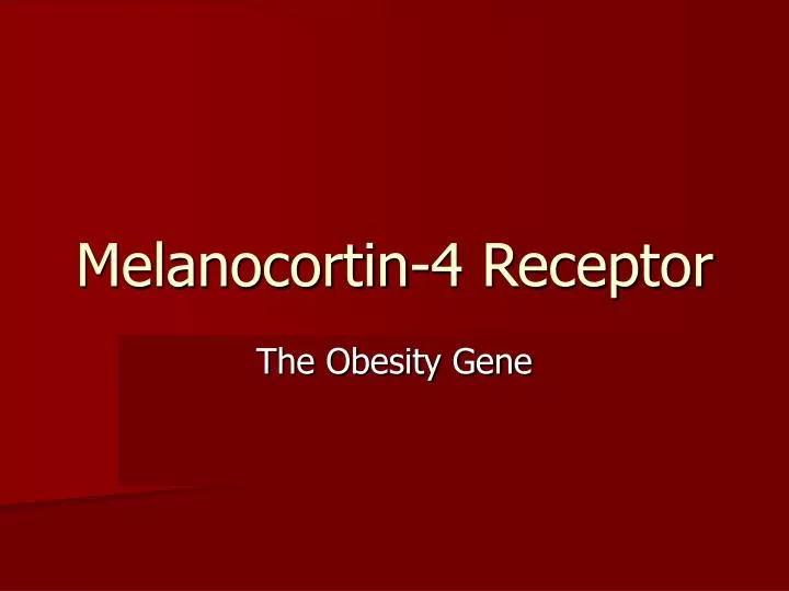 melanocortin 4 receptor
