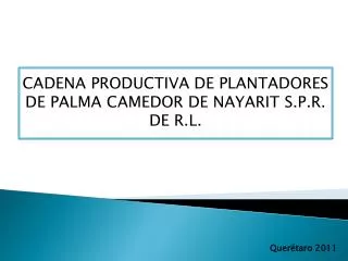 CADENA PRODUCTIVA DE PLANTADORES DE PALMA CAMEDOR DE NAYARIT S.P.R. DE R.L.