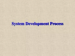 system development process