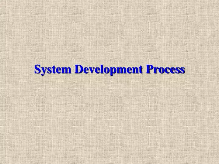 system development process